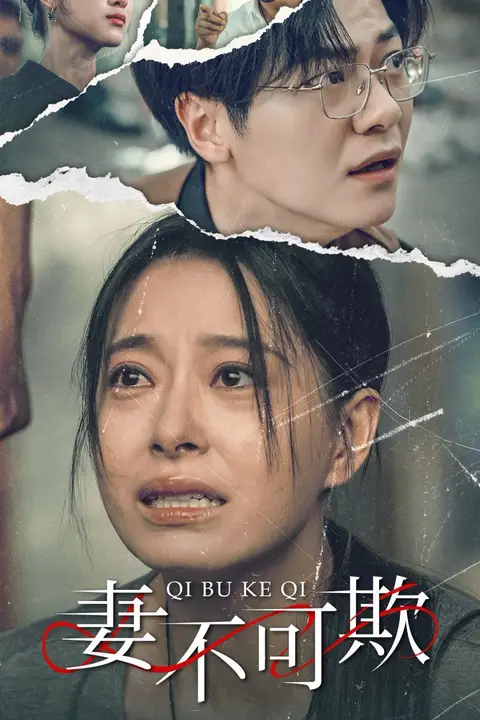 《妻不可欺》封面