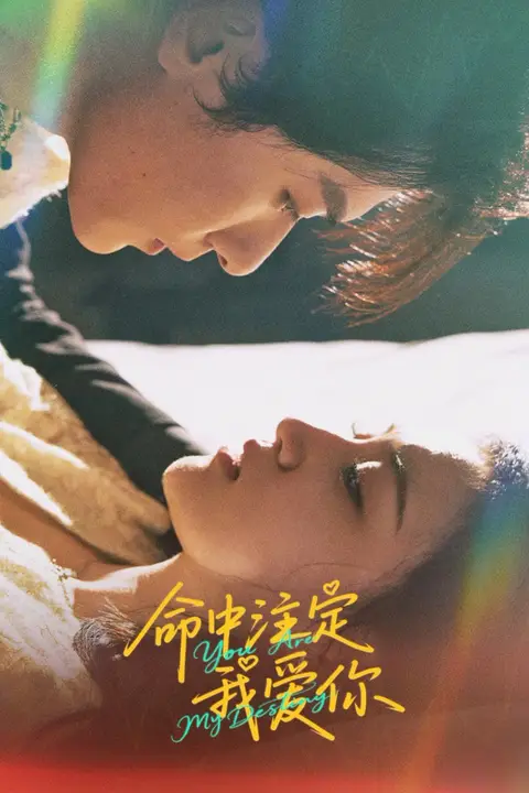 《命中注定我爱你》封面