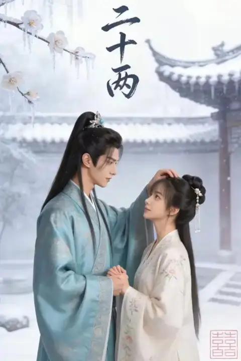 《二十两》封面