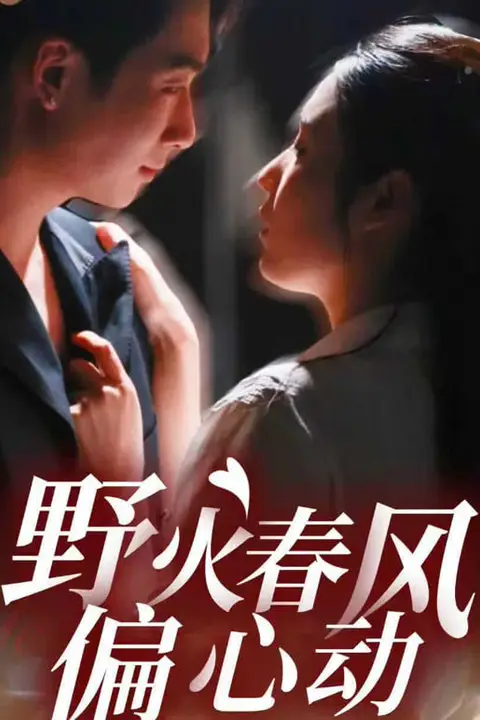 《野火春风偏心动》封面