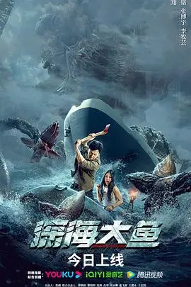《深海大鱼》封面