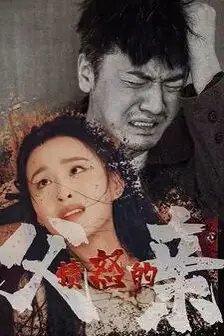 《愤怒的父亲》封面