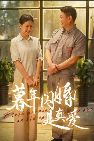 《暮年闪婚是真爱》封面