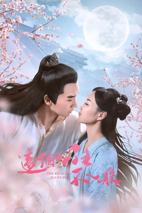 《这个公主不一般》封面