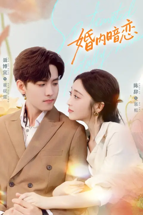 《婚内暗恋》封面