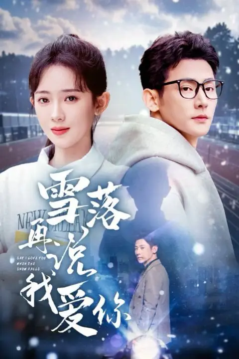《雪落再说我爱你》封面