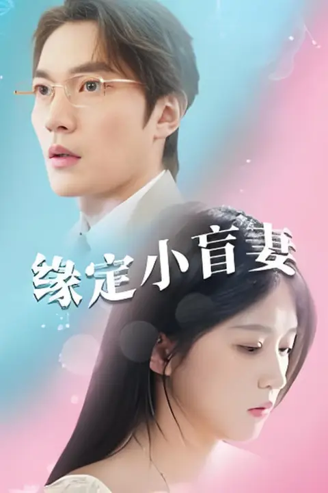 《缘定小盲妻》封面