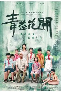 《青苔花开》封面