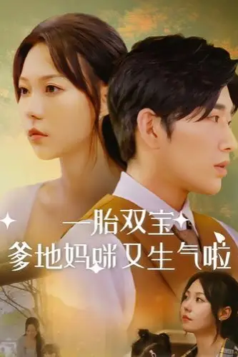 《一胎双宝爹地妈咪又生气啦》封面
