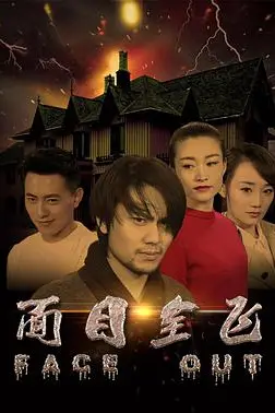 《面目全飞》封面
