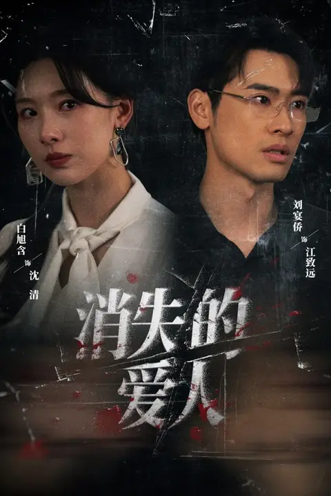 《消失的爱人 2025》封面