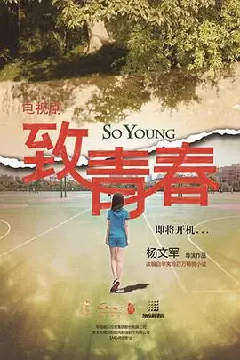 《致青春》封面