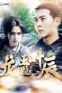 《龙王殿叶辰》封面
