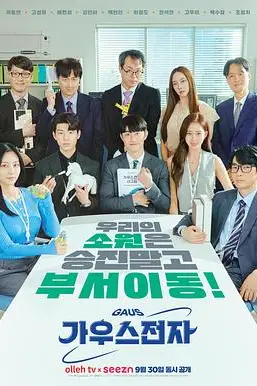《高斯电子公司》封面