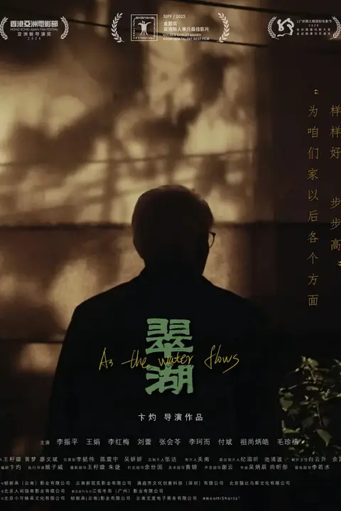 《翠湖》封面