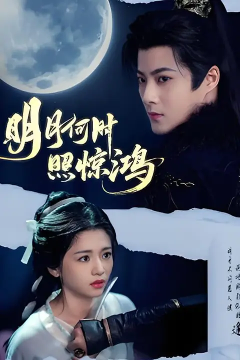 《明月何时照惊鸿》封面