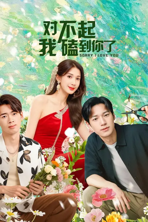 《对不起,我磕到你了》封面