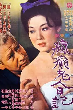 《疯癫老人日记》封面