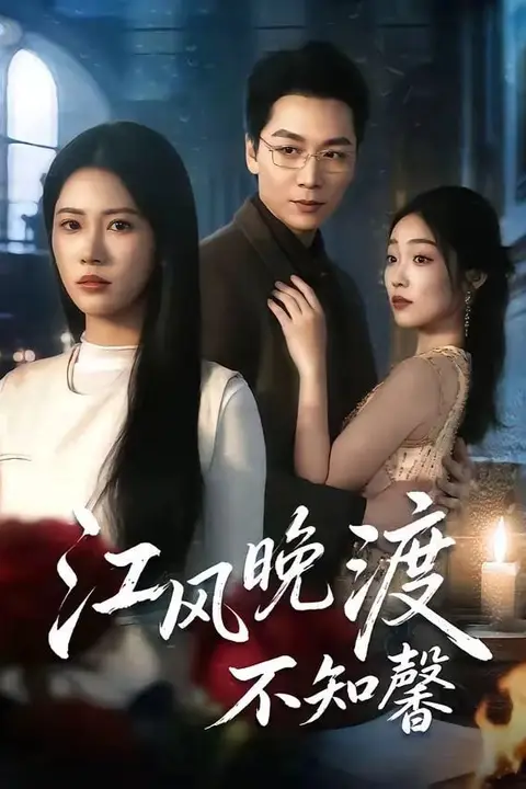 《江风晚渡不知馨》封面