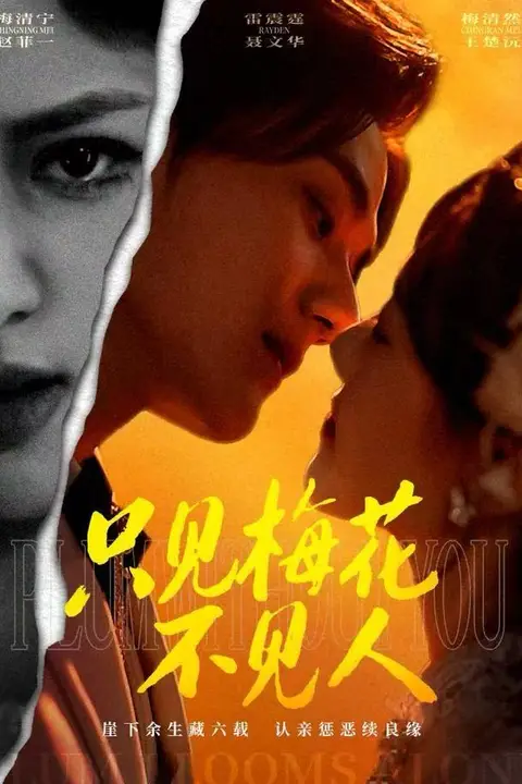 《只见梅花不见人》封面