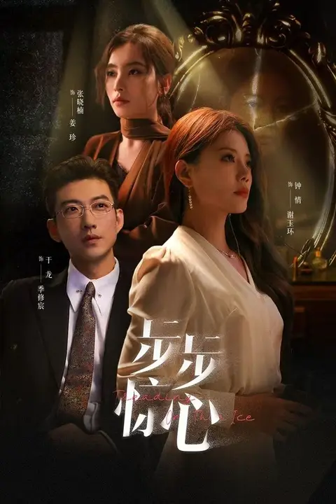 《步步惊心(新:迷途)》封面