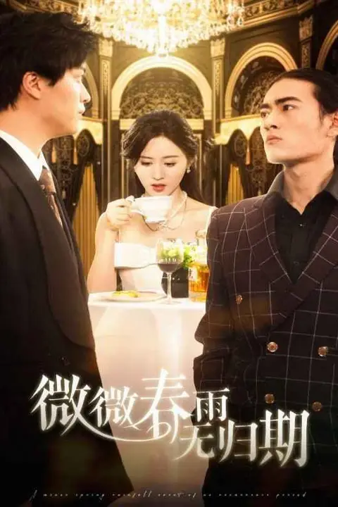 《微微春雨无归期》封面