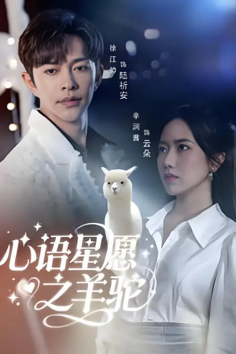 《心语星愿之羊驼》封面