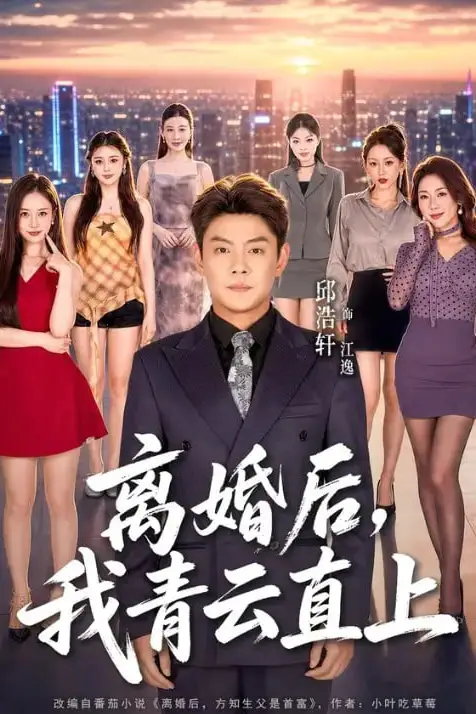 《离婚后,我青云直上》封面