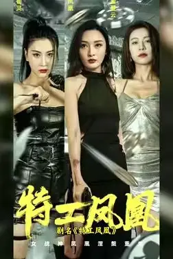 《特工凤凰》封面