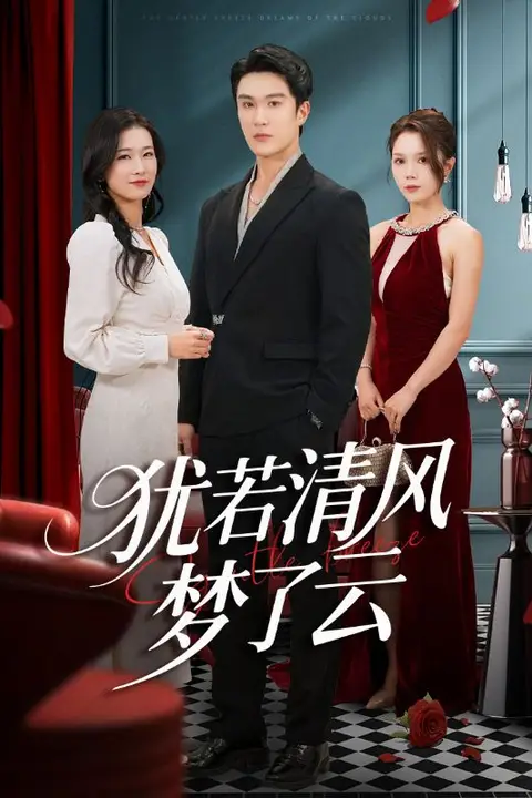 《犹若清风梦了云》封面
