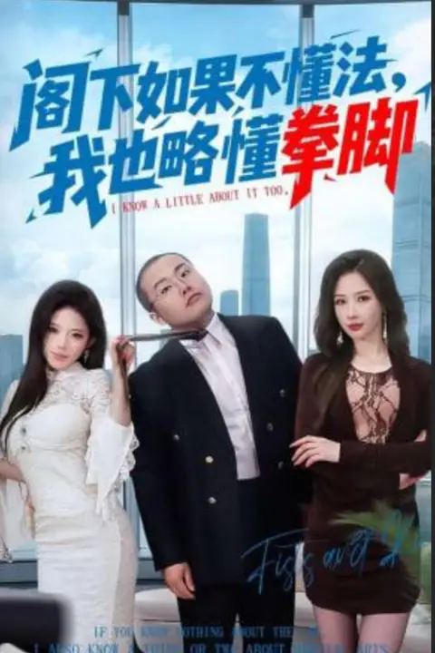 《阁下如果不懂法，我也略懂拳脚》封面