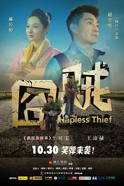 《囧贼》封面