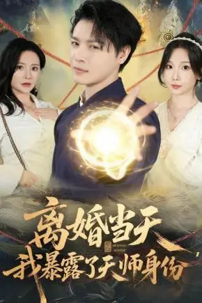 《离婚当天，我暴露了天师身份》封面