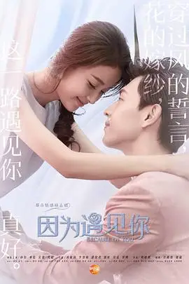 《因为遇见你》封面