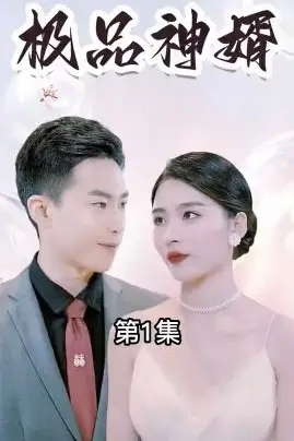《极品神婿》封面
