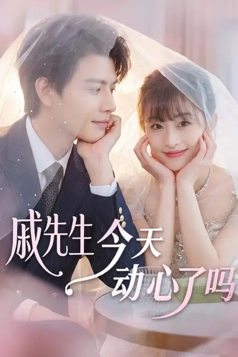 《戚先生今天动心了吗》封面