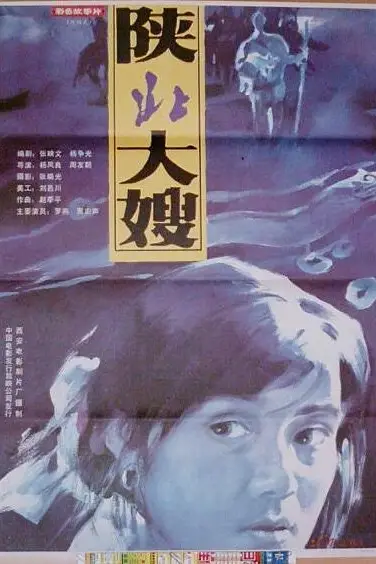 《陕北大嫂》封面