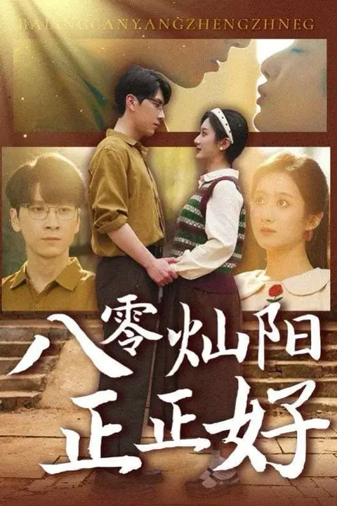《八零灿阳正正好》封面