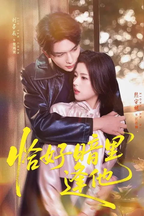 《恰好暗里逢他》封面