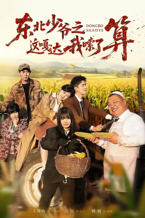 《东北少爷之这嘎达我嗦了算》封面
