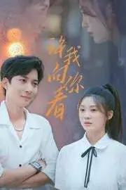 《许我像你看》封面