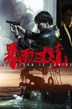 《暴雨过境》封面