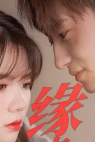 《缘来是你》封面