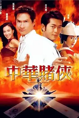 《中华赌侠（国语版）》封面
