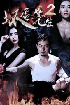 《坏蛋先生2》封面