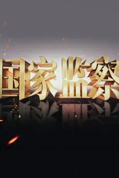 《国家监察》封面