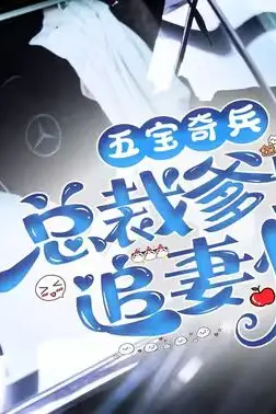 《五宝奇兵总裁爹地追妻忙》封面