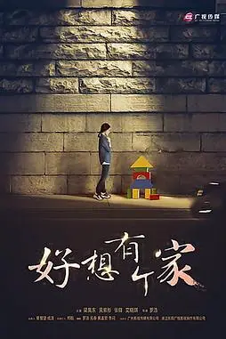 《等爱回家》封面