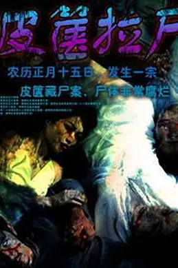 《皮箧拉尸》封面
