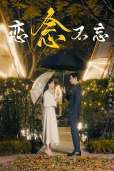 《恋念不忘》封面